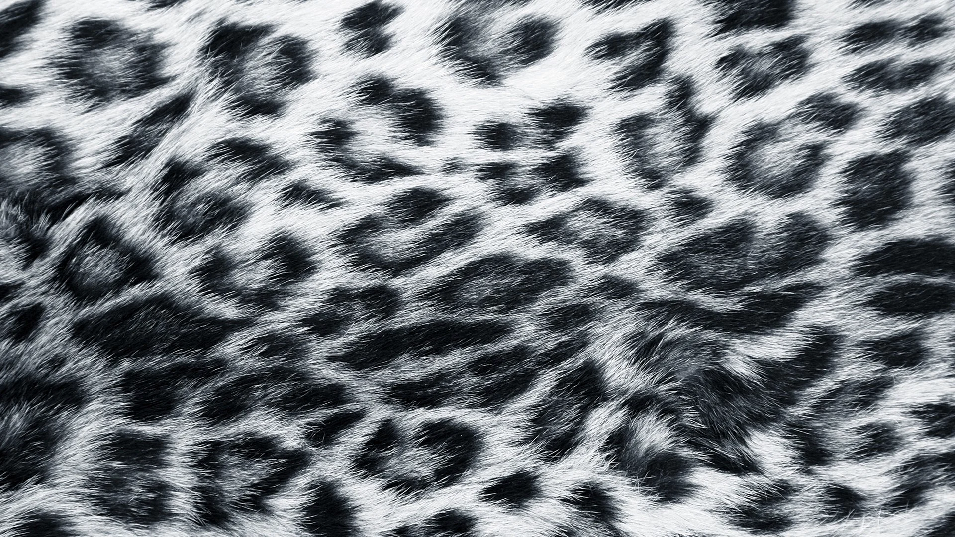 Tiger Skin Leopard pattern Wallpaper