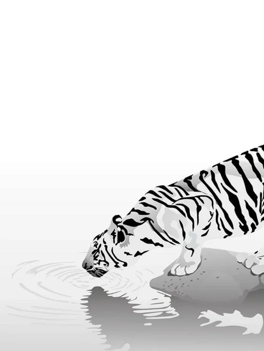 Tiger Vector Wallpaper