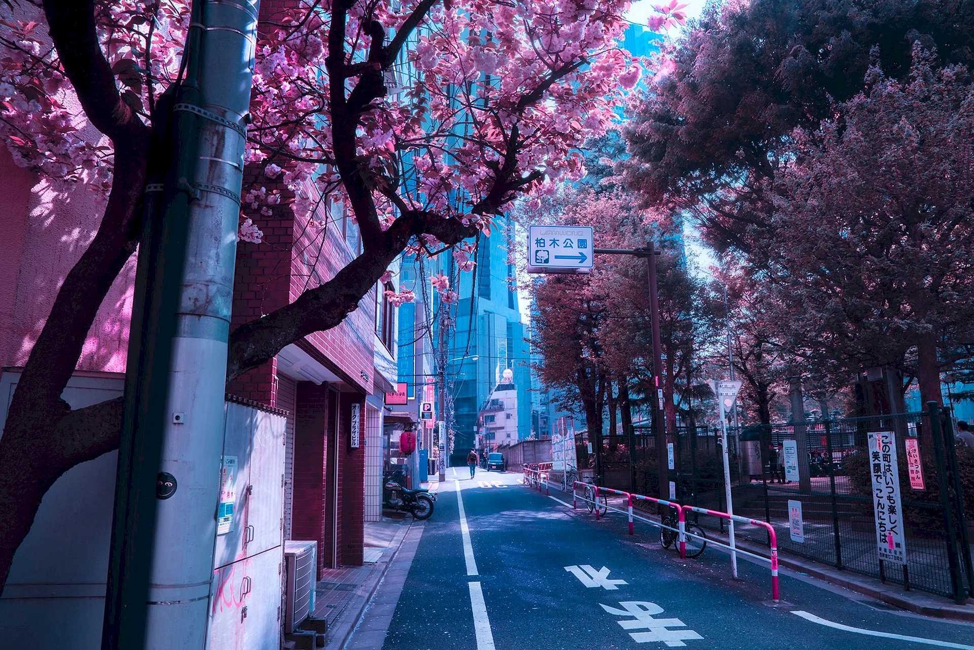 Tokyo Street Wallpaper