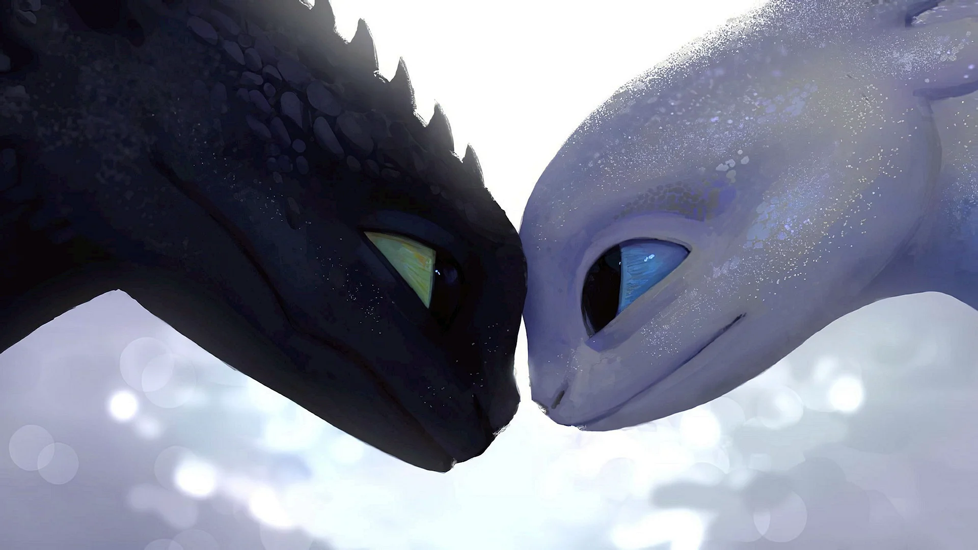 Toothless And Light Fury Wallpaper