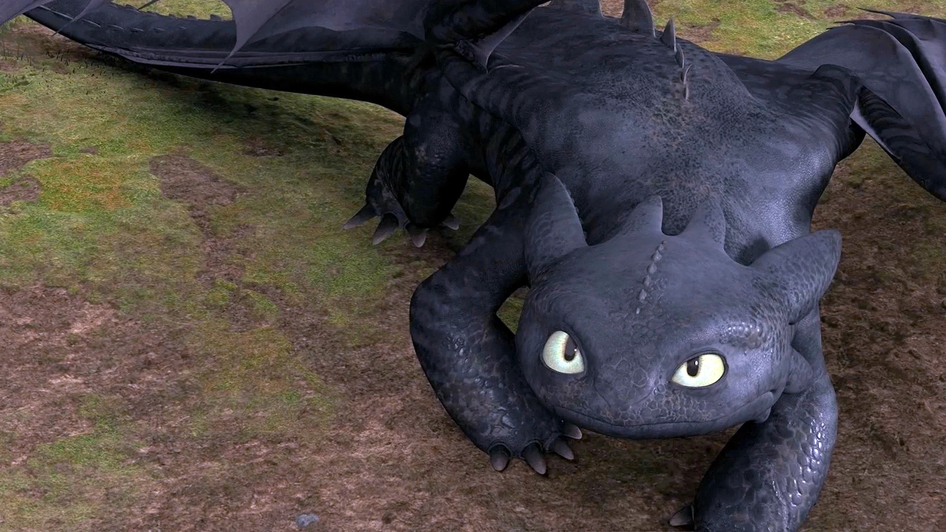 Toothless Dragon Wallpaper