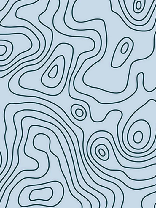 Topographic Pattern Wallpaper