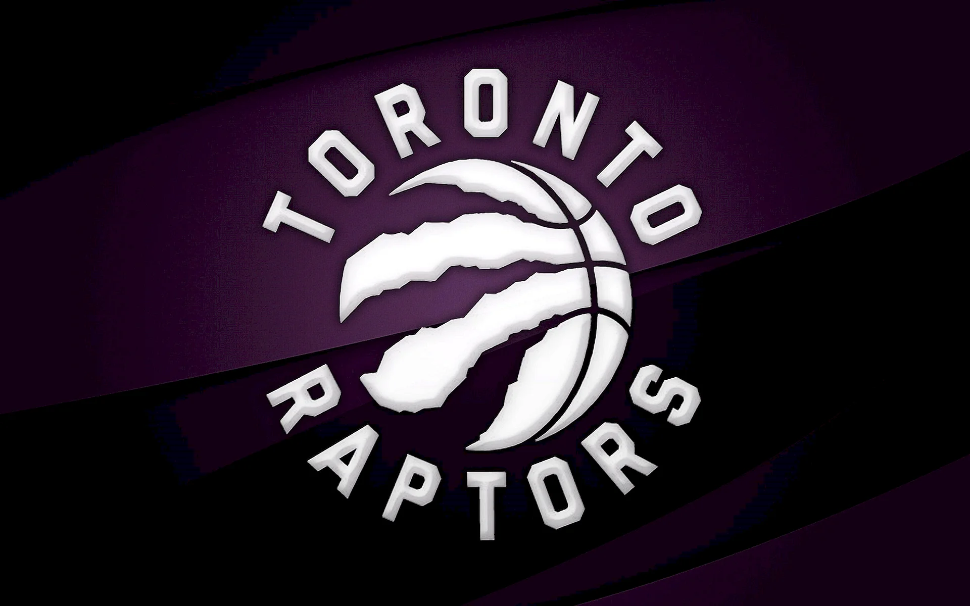 Toronto Raptor Wallpaper