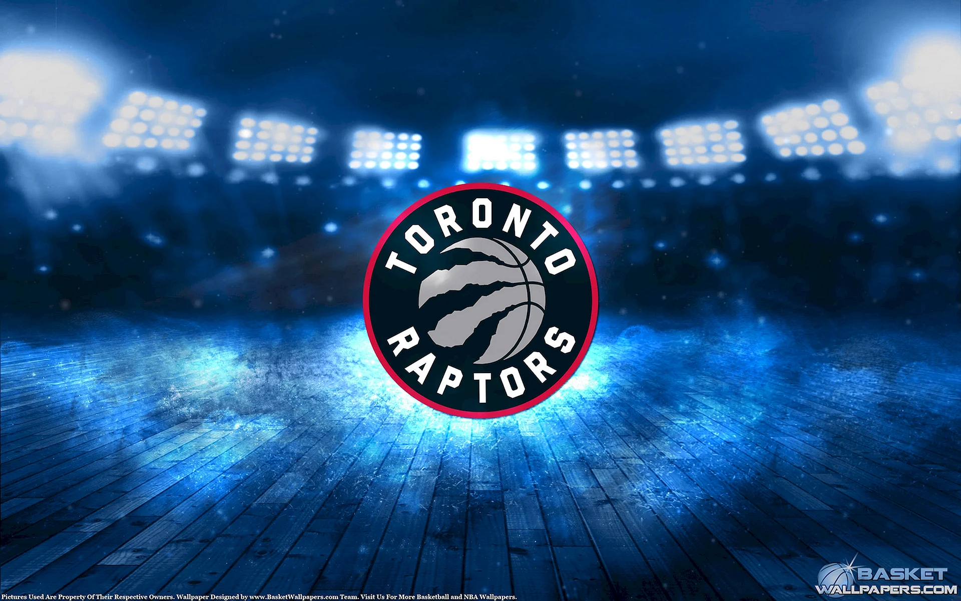 Toronto Raptor Wallpaper