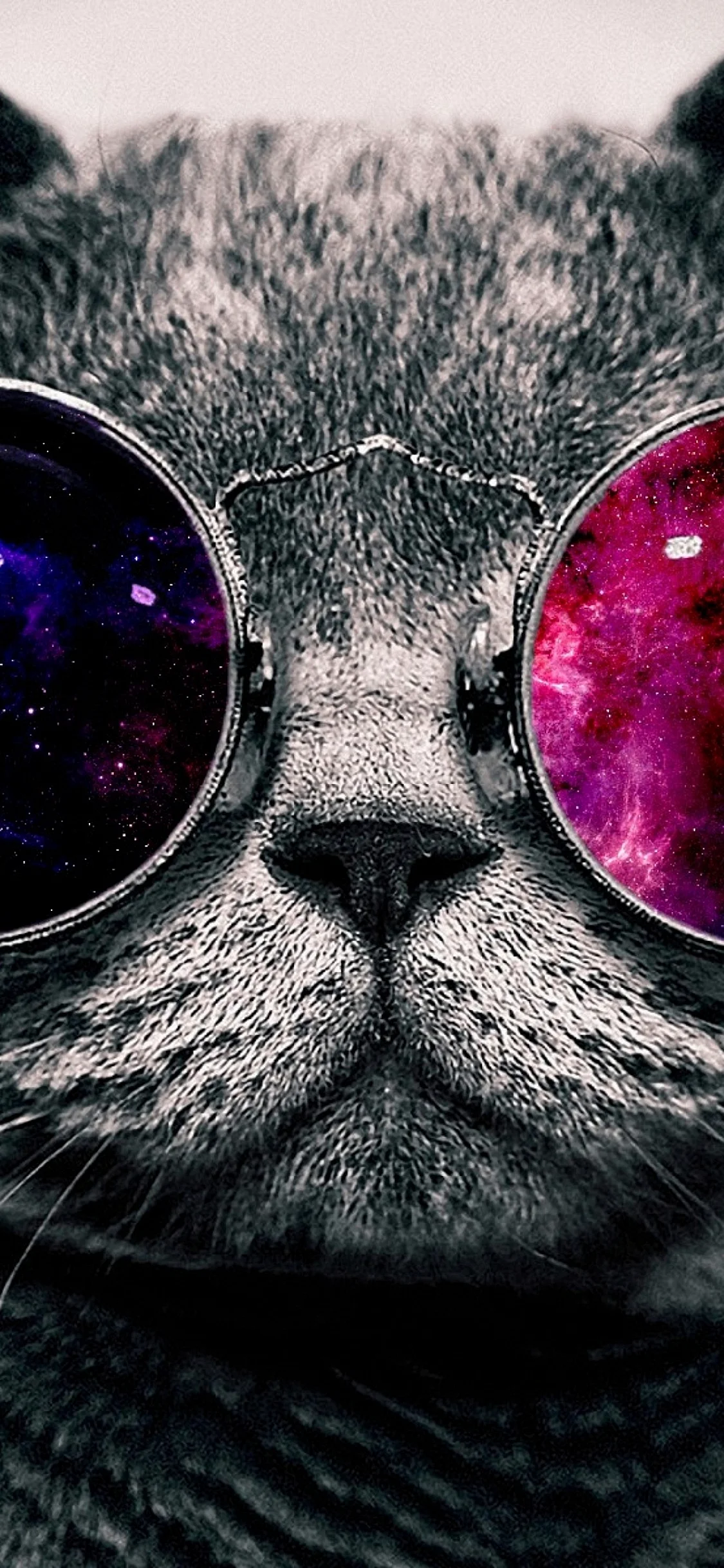 Trippy Cat Wallpaper for iPhone 11 Pro