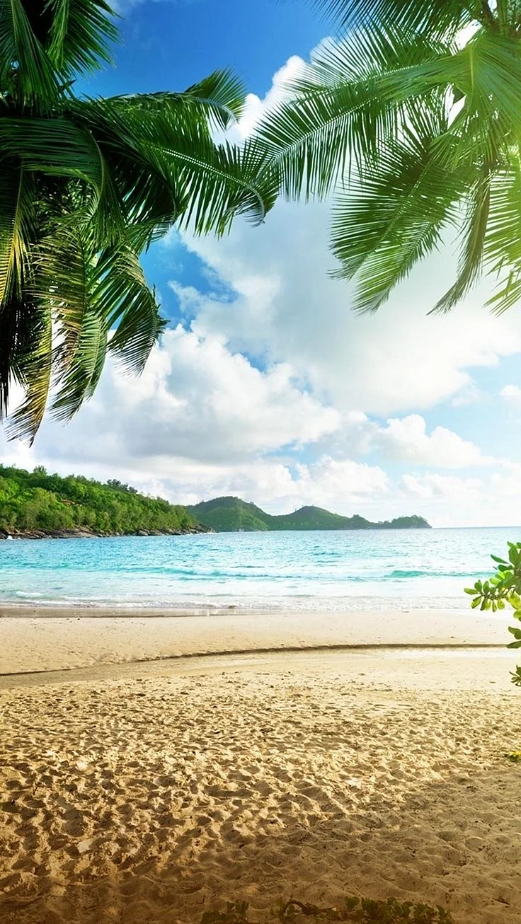 Tropical Beach Wallpaper For iPhone