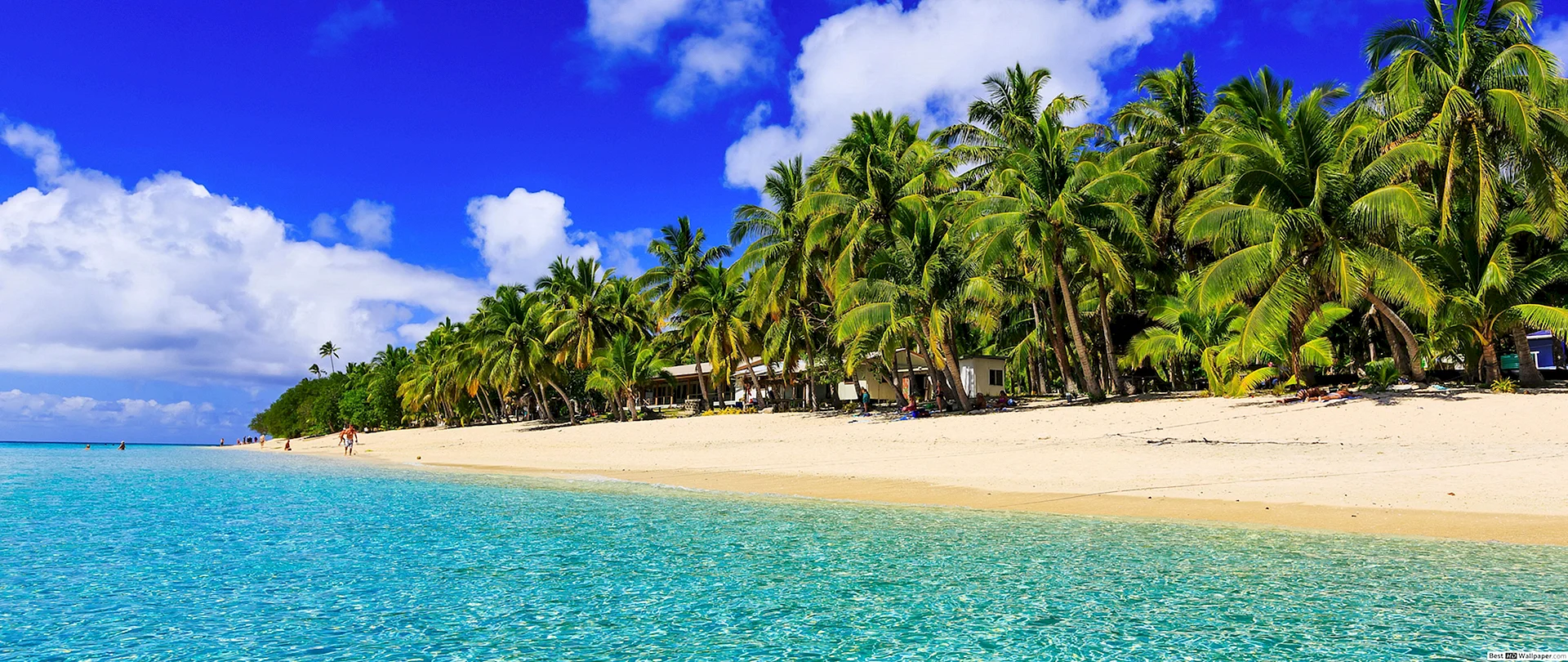 Tropical Island Wallpaper