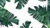Tropical leaves pattern Wallpaper