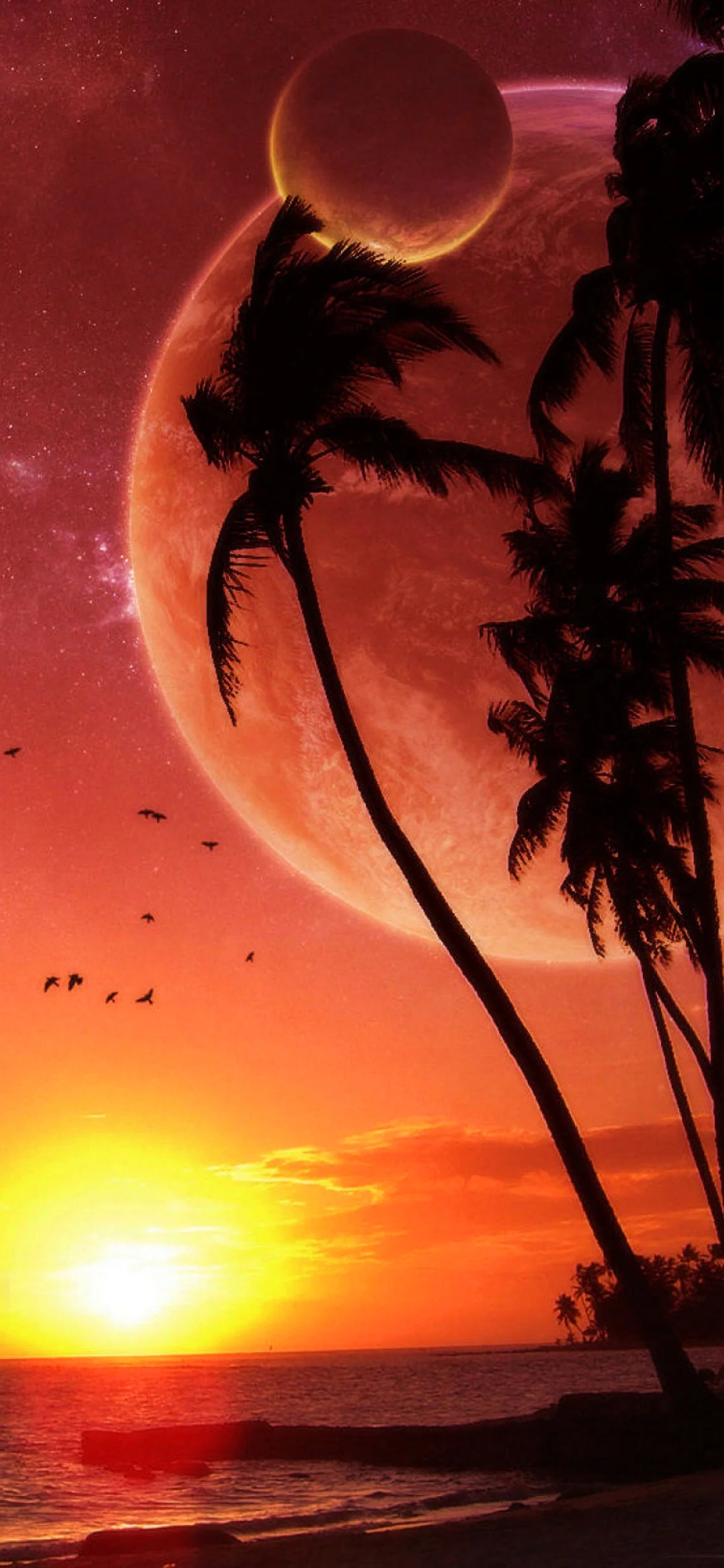 Tropical Sunset Wallpaper for iPhone 12 Pro