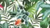 Tropical Textures Wallpaper