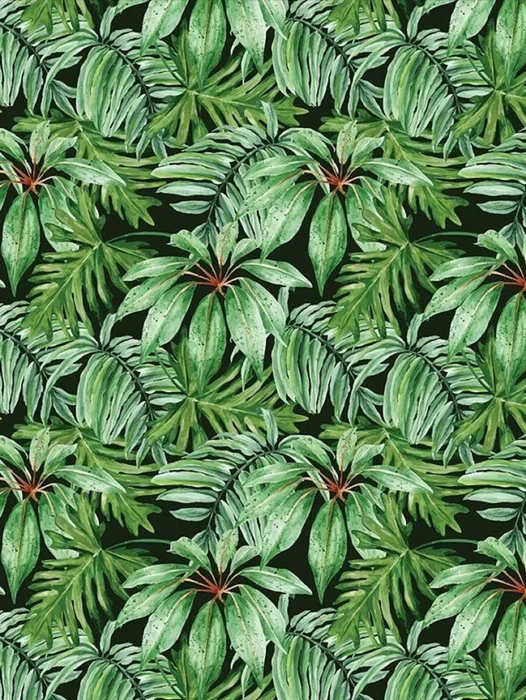 Tropical Banana Leaf Mural Wallpaper