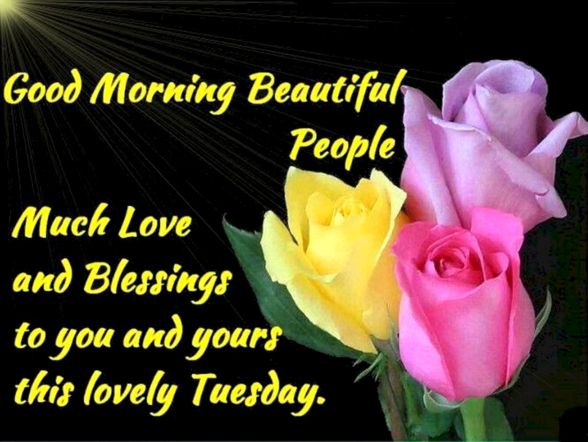 Happy Tuesday Good Morning With Quotes Wallpapers - Free Happy Tuesday 