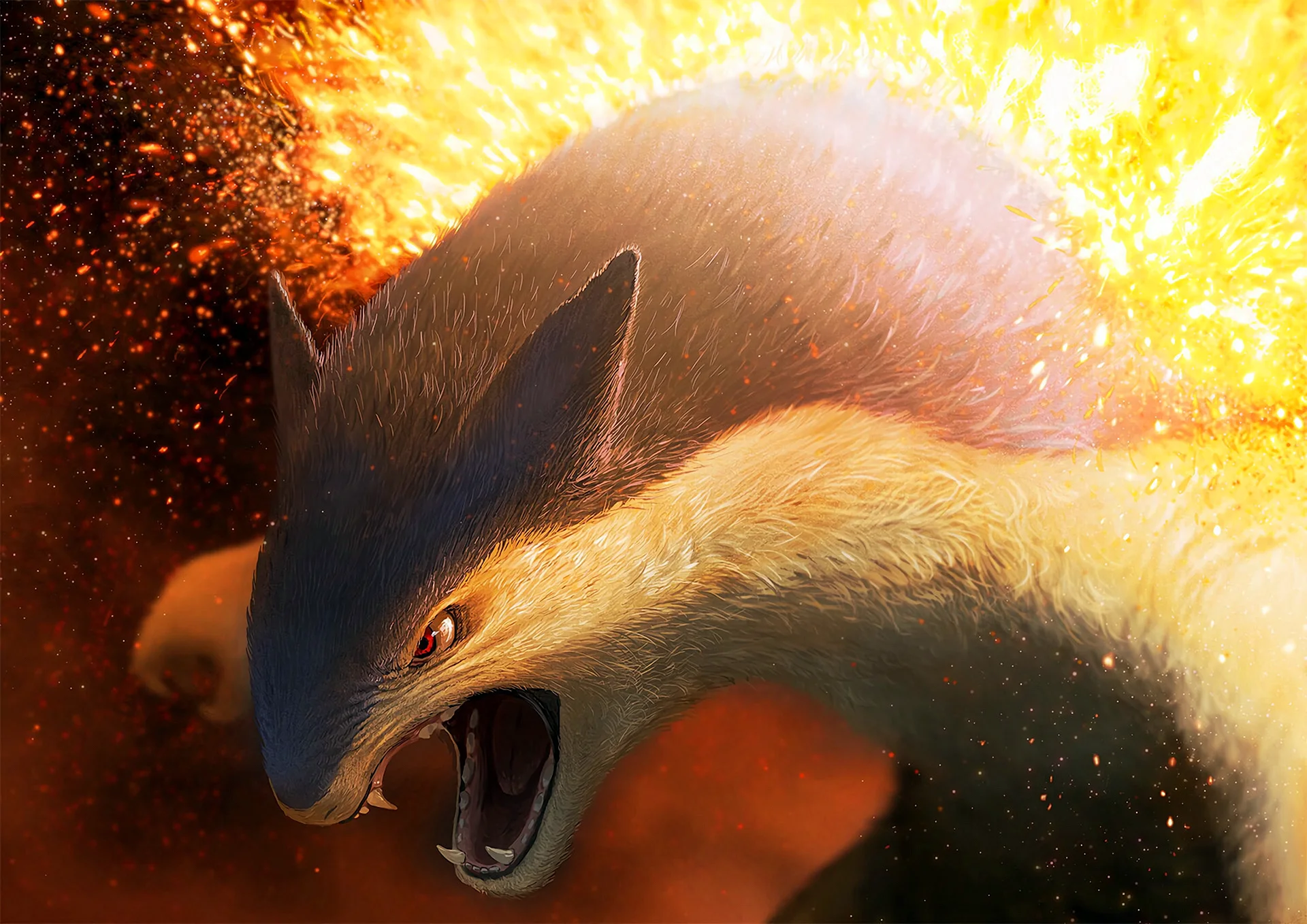 Typhlosion Wallpaper