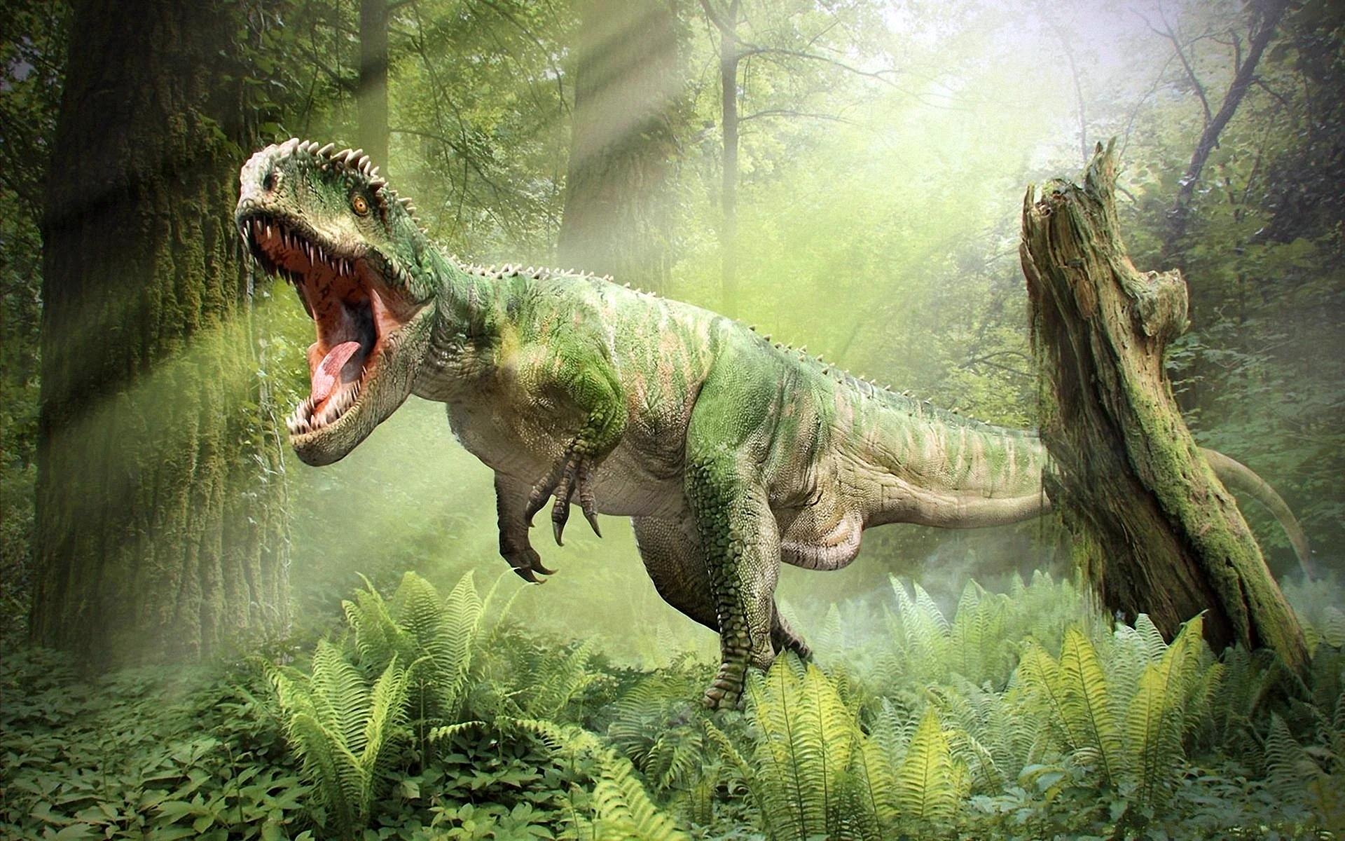 Tyrannosaurus Rex Wallpaper