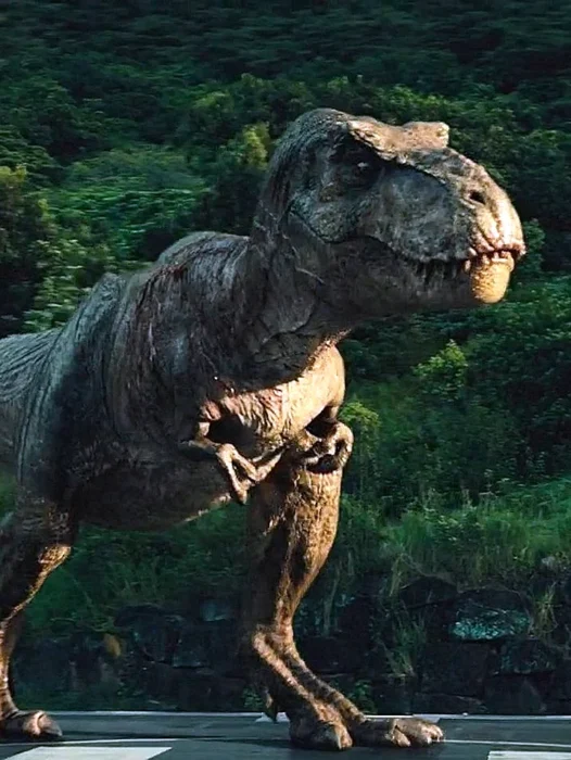 Tyrannosaurus Rex Jurassic Park Wallpaper