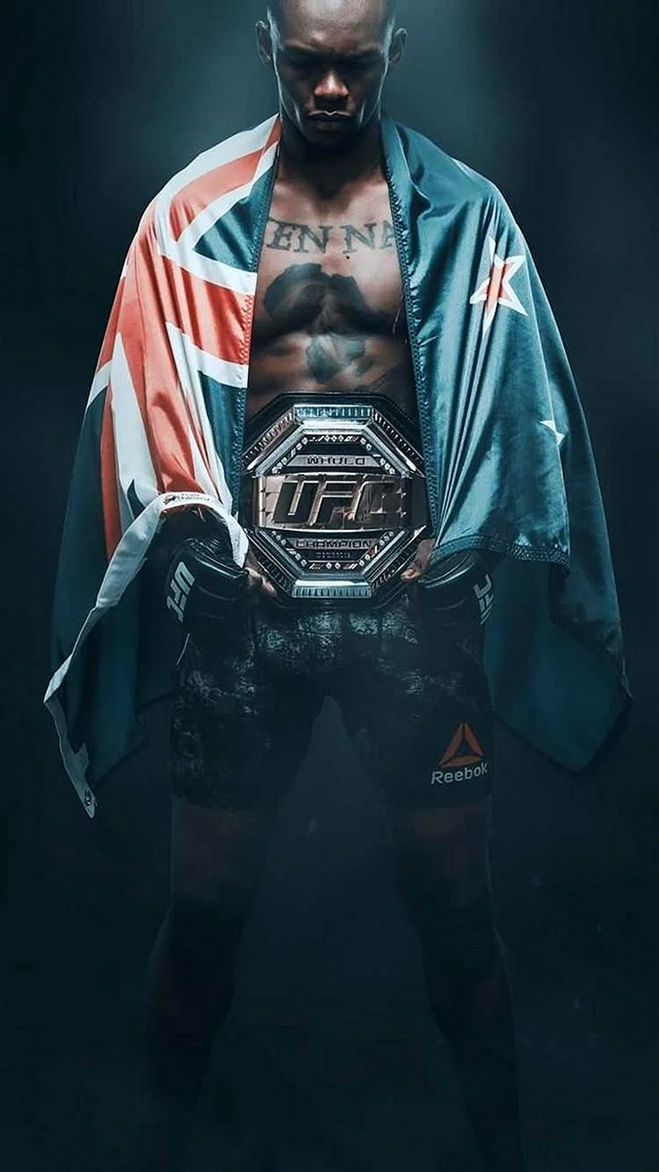 Ufc Background Wallpaper For iPhone