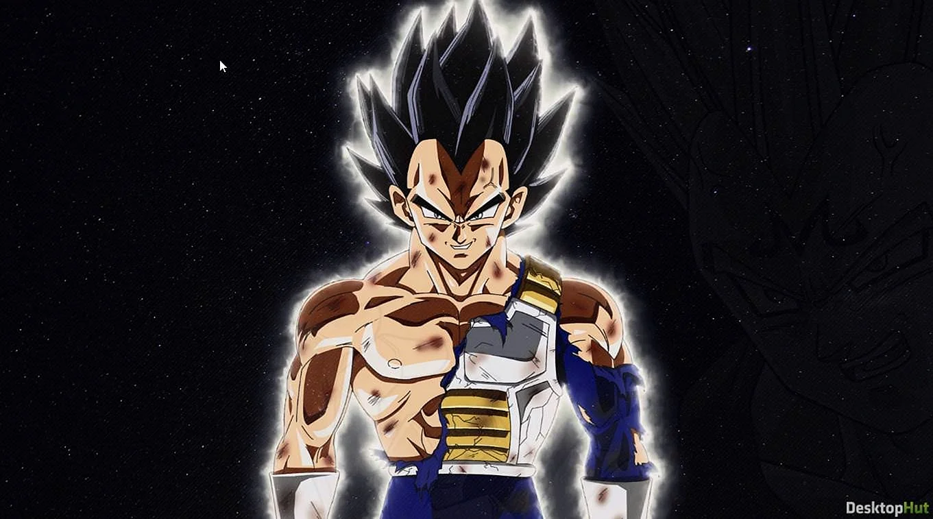 Ultra Instinct Goku Vegeta Wallpaper