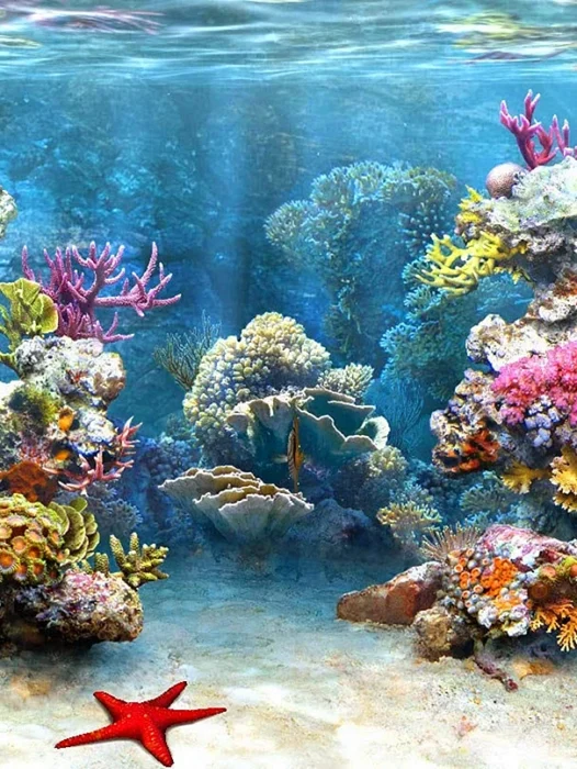 Under The Sea Wallpaper