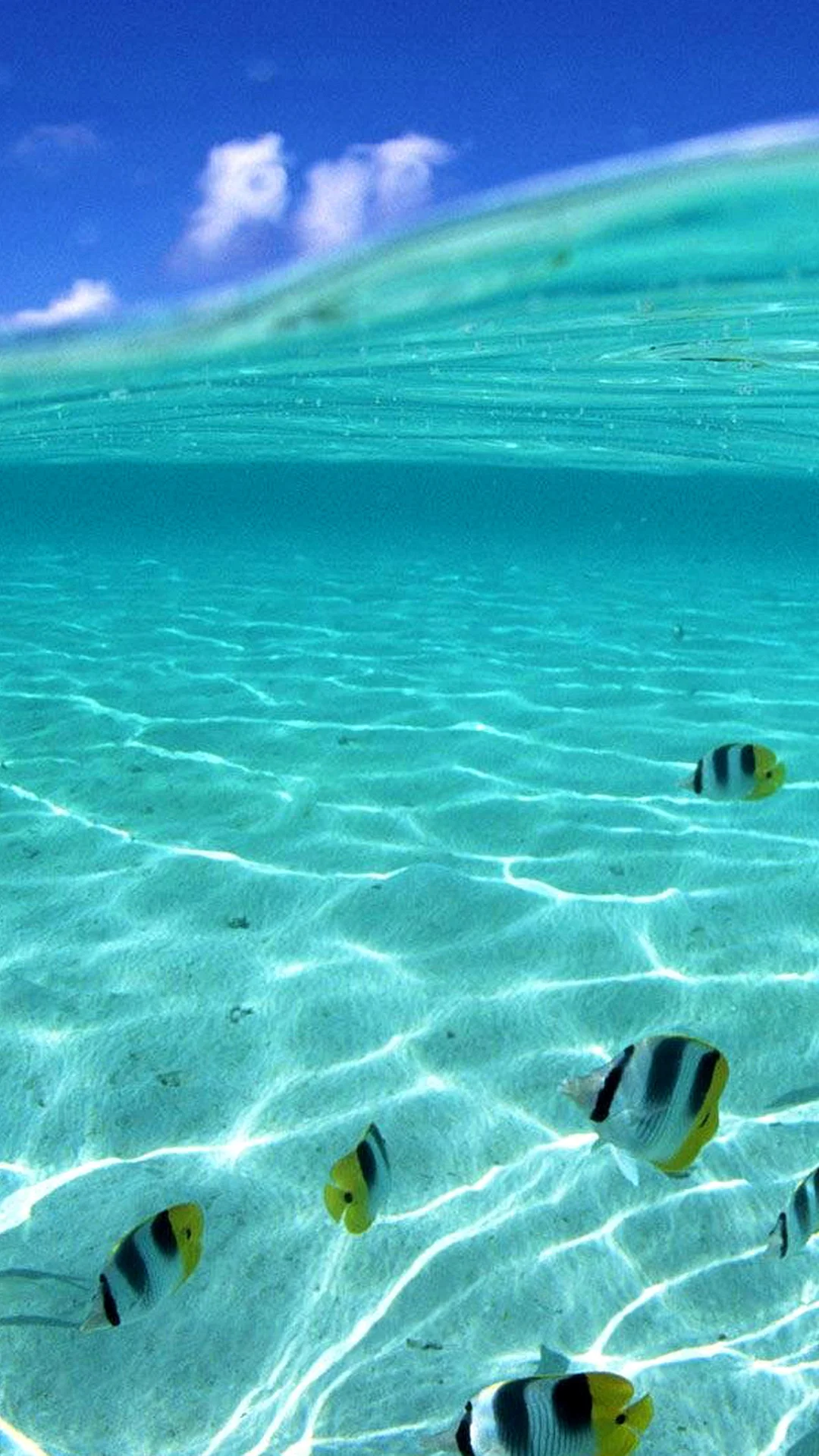 Underwater Beach Wallpaper For iPhone