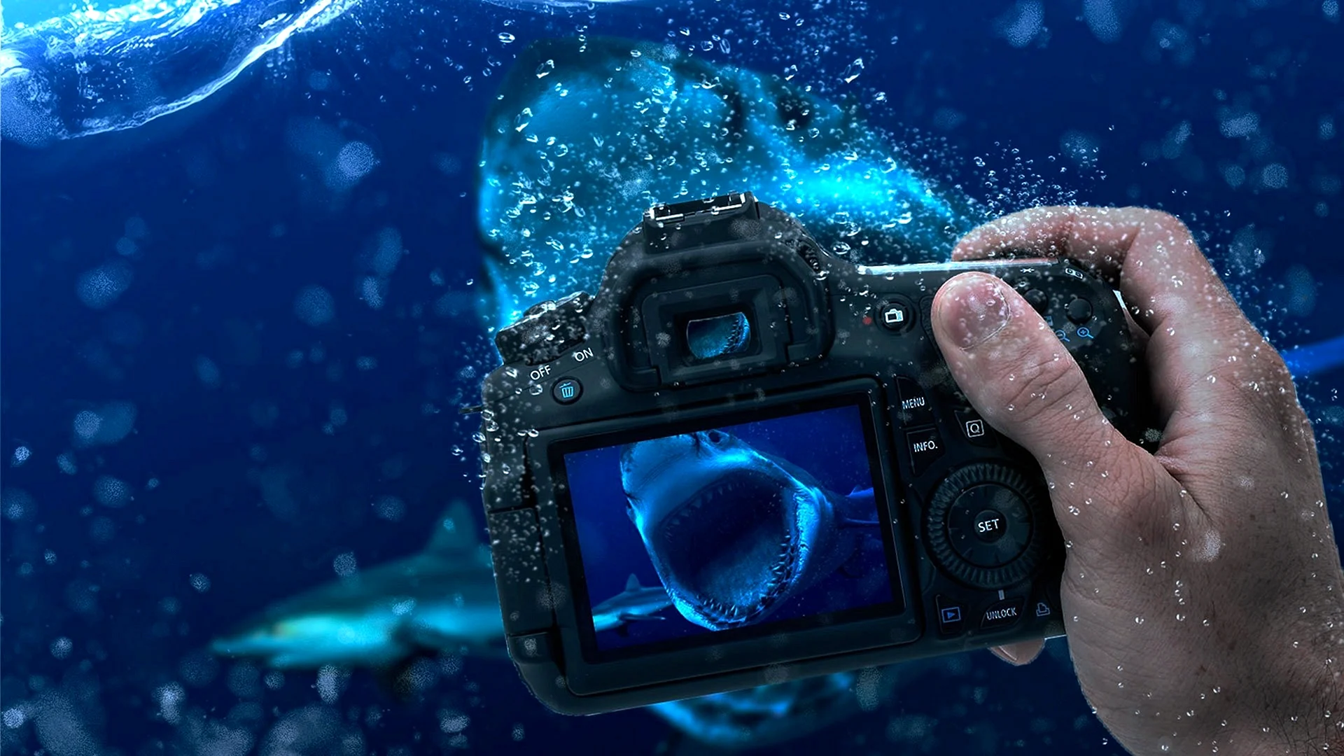 Underwater Camera Wallpaper