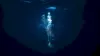 Underwater Deep Wallpaper