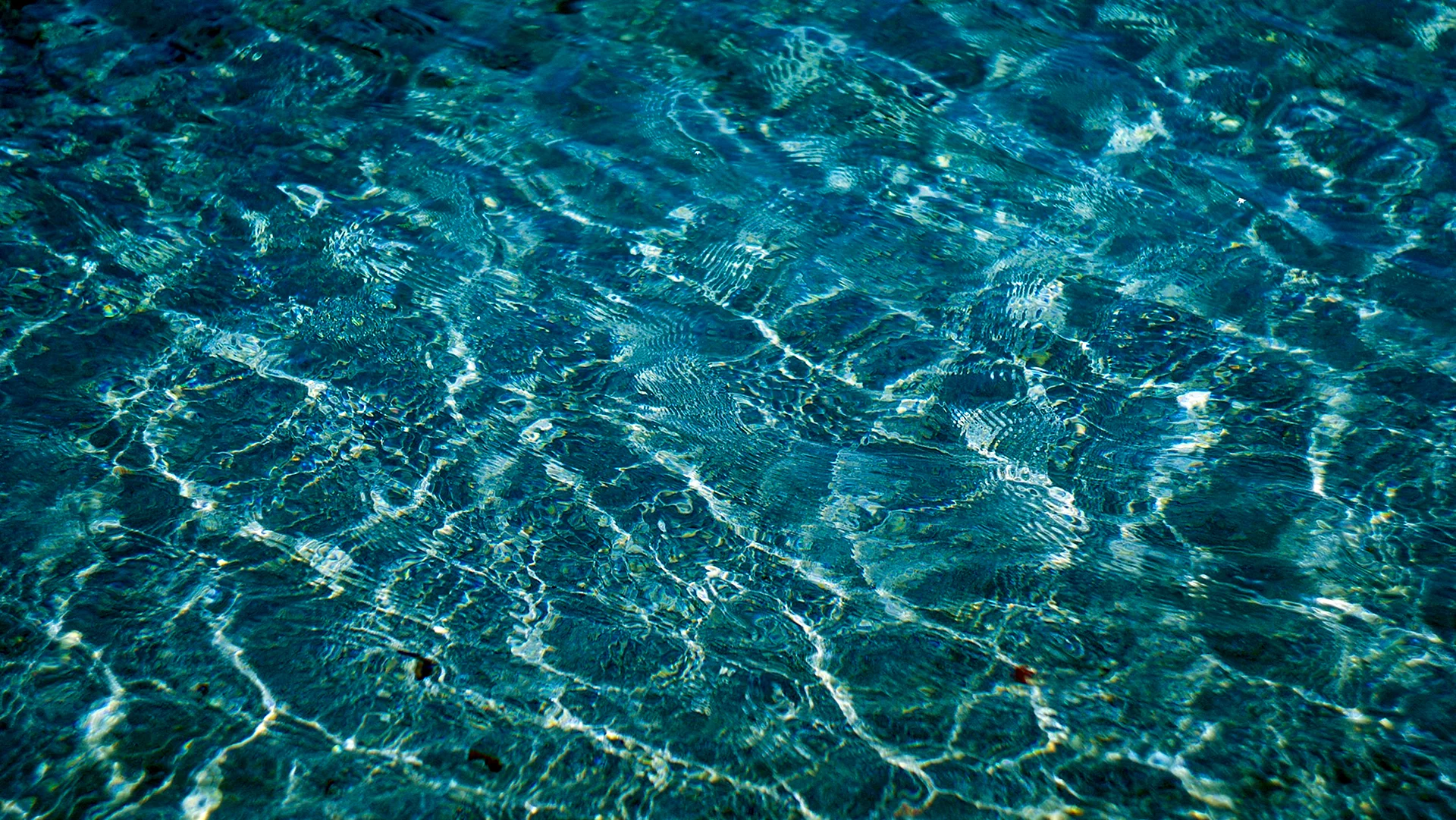 Underwater Pattern Wallpaper