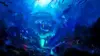 Underwater Fantasy Wallpaper