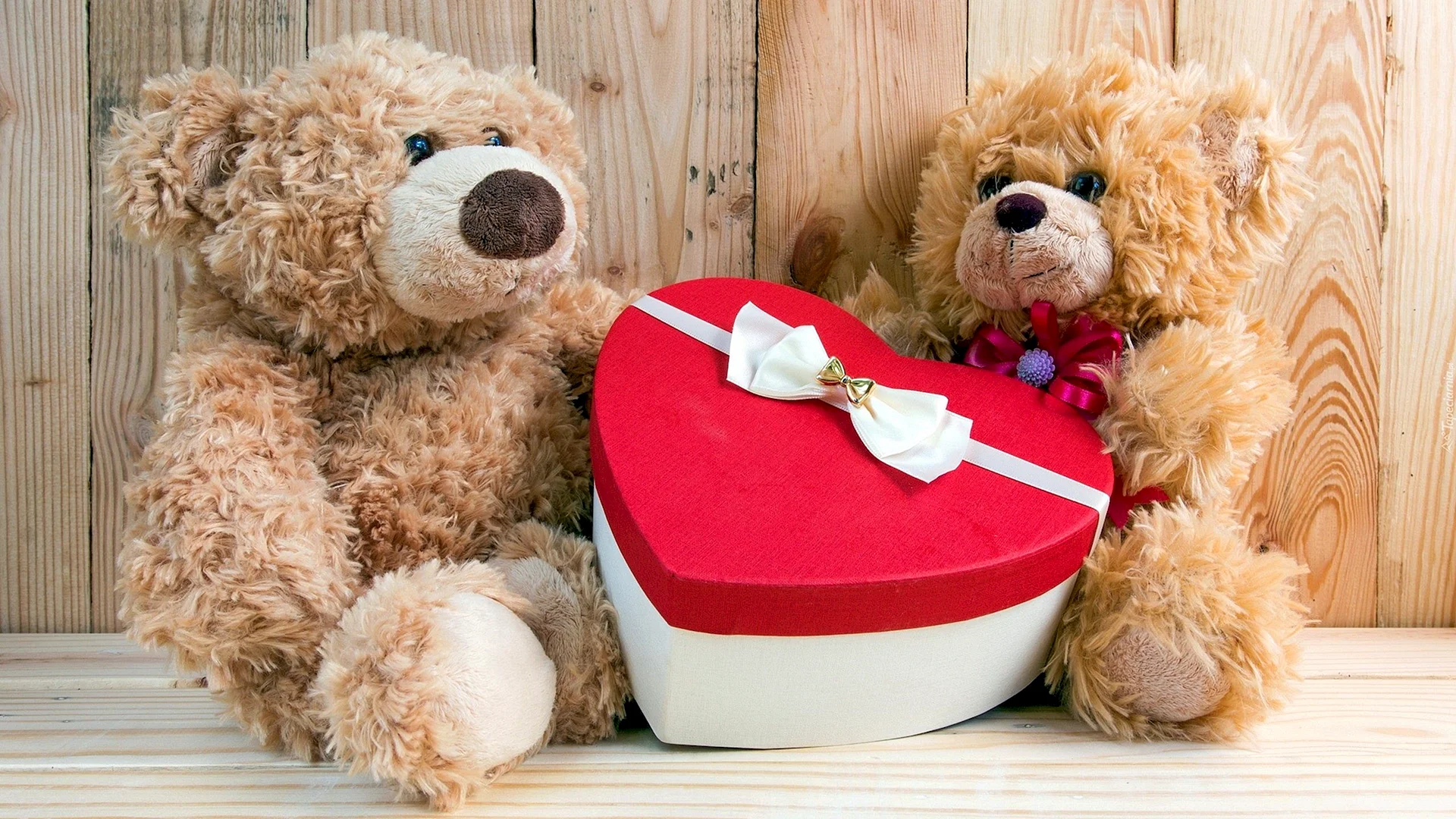 Valentine Teddy Bear Wallpaper