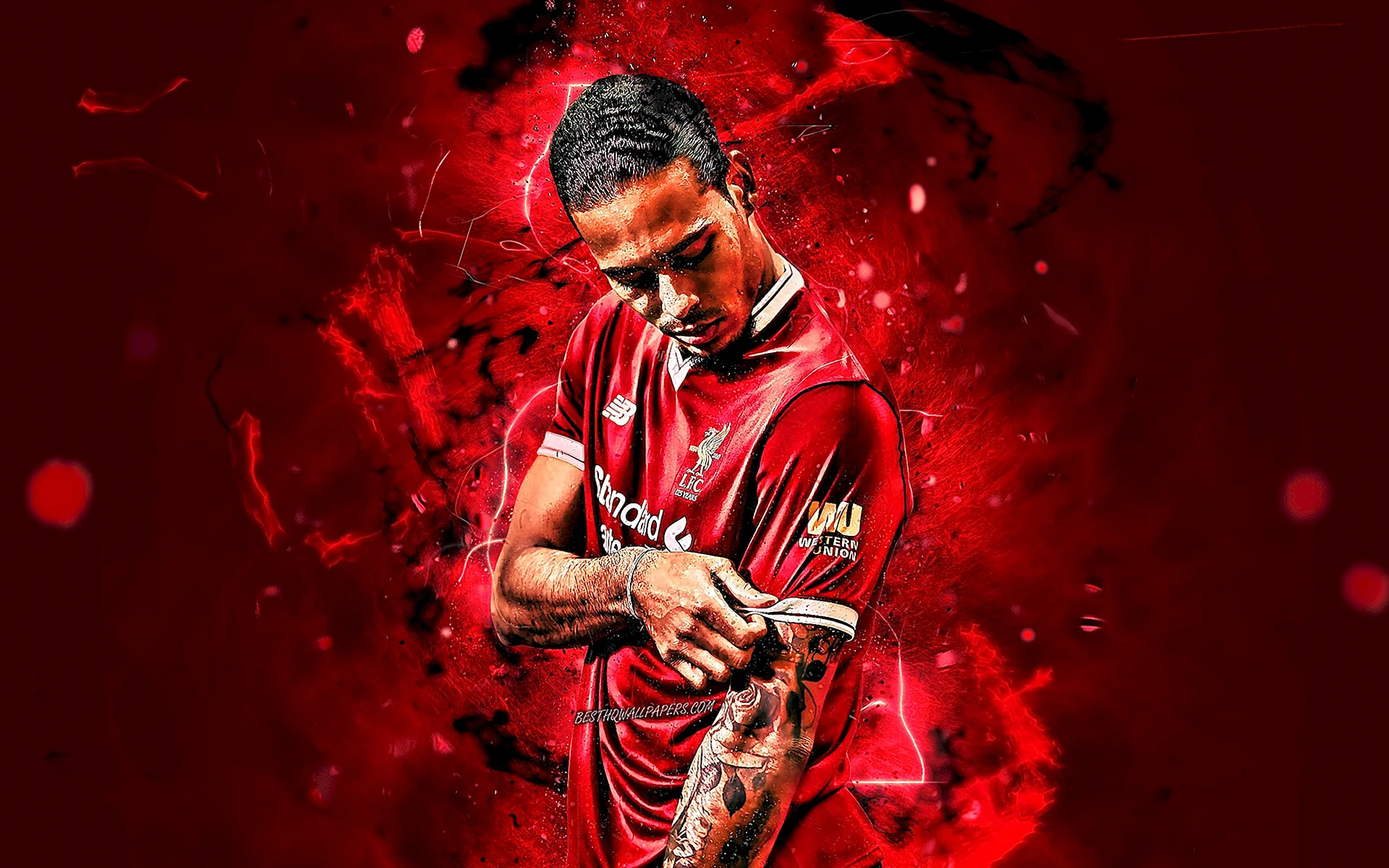 Van Dijk Art Wallpaper