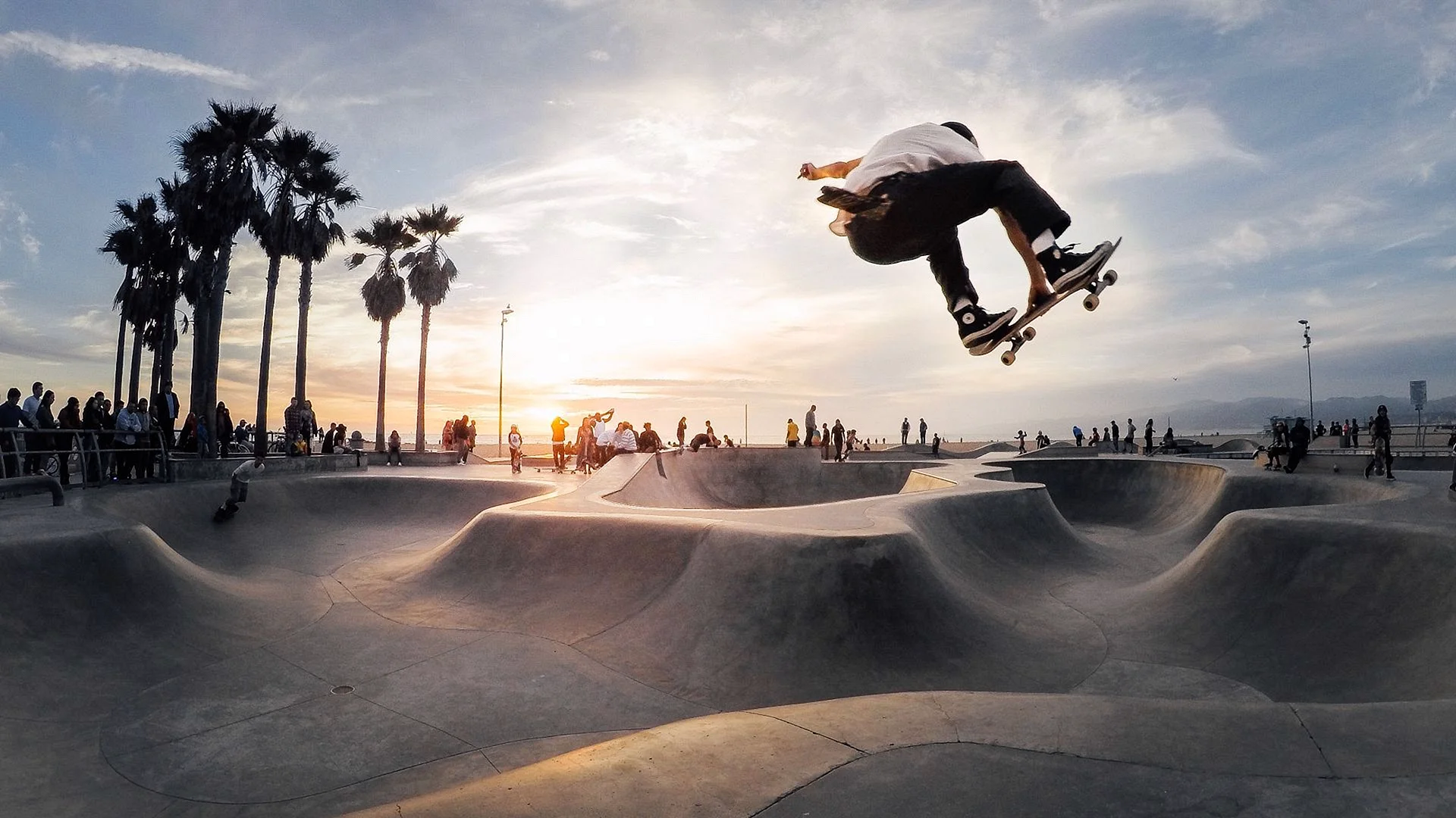 Venice Beach Skatepark Wallpaper