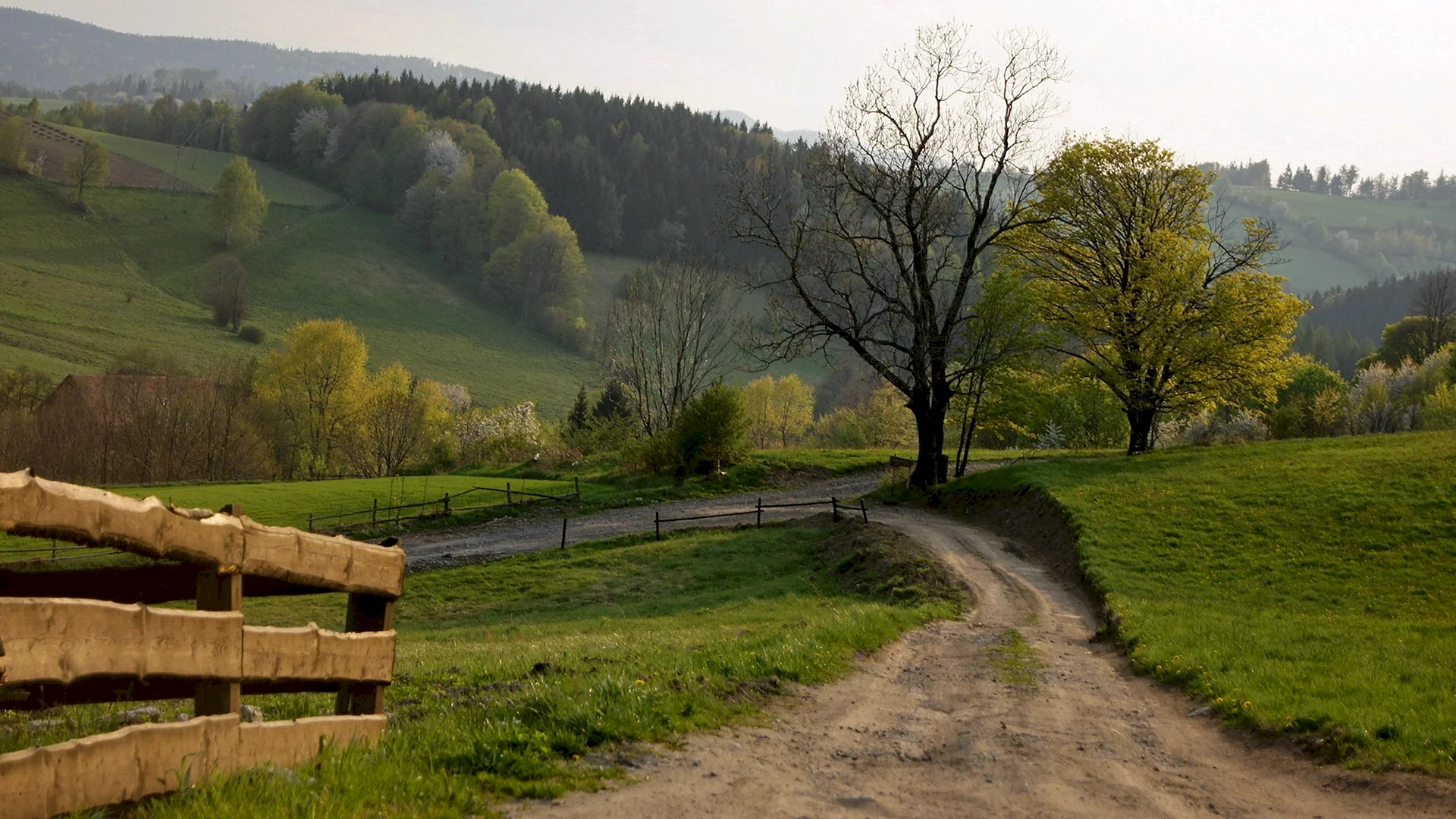 Village Road Wallpaper