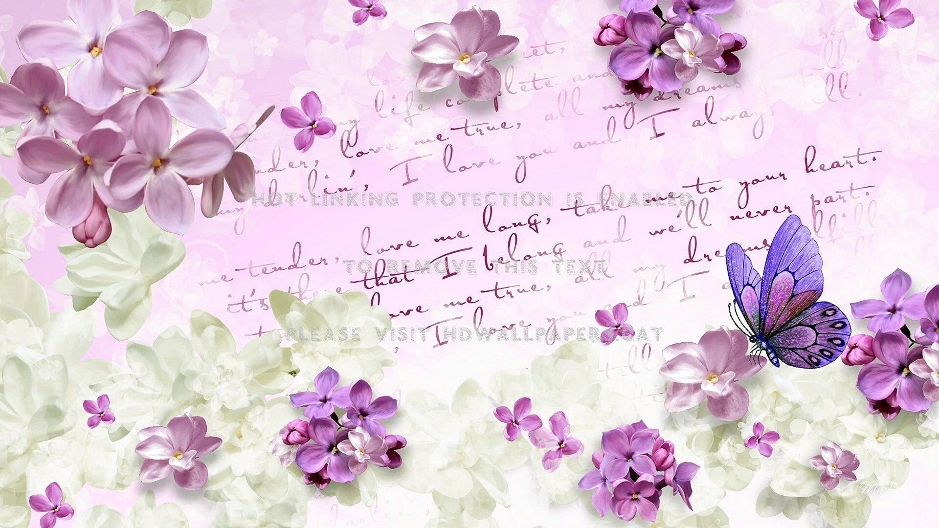 Violet Flower Background Wallpaper