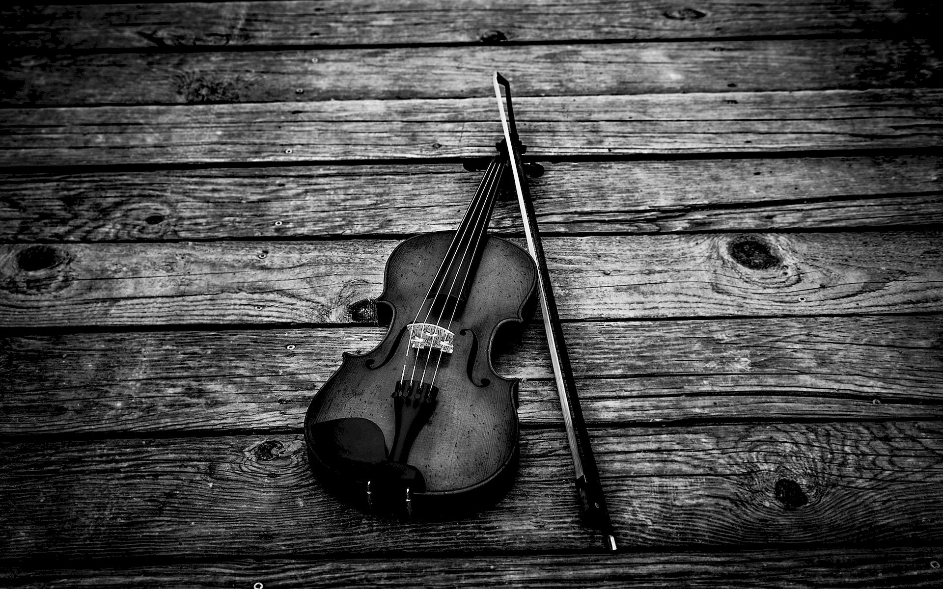 Violin Wallpaper