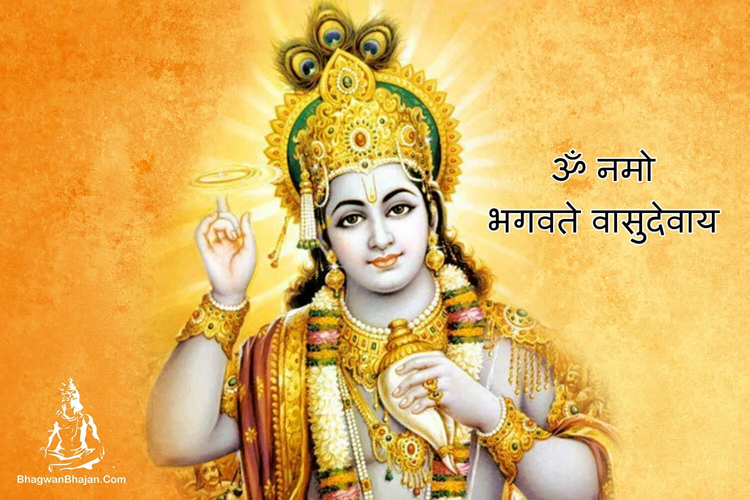 Vishnu Ji Wallpaper