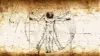 Vitruvian Man Da Vinci Wallpaper