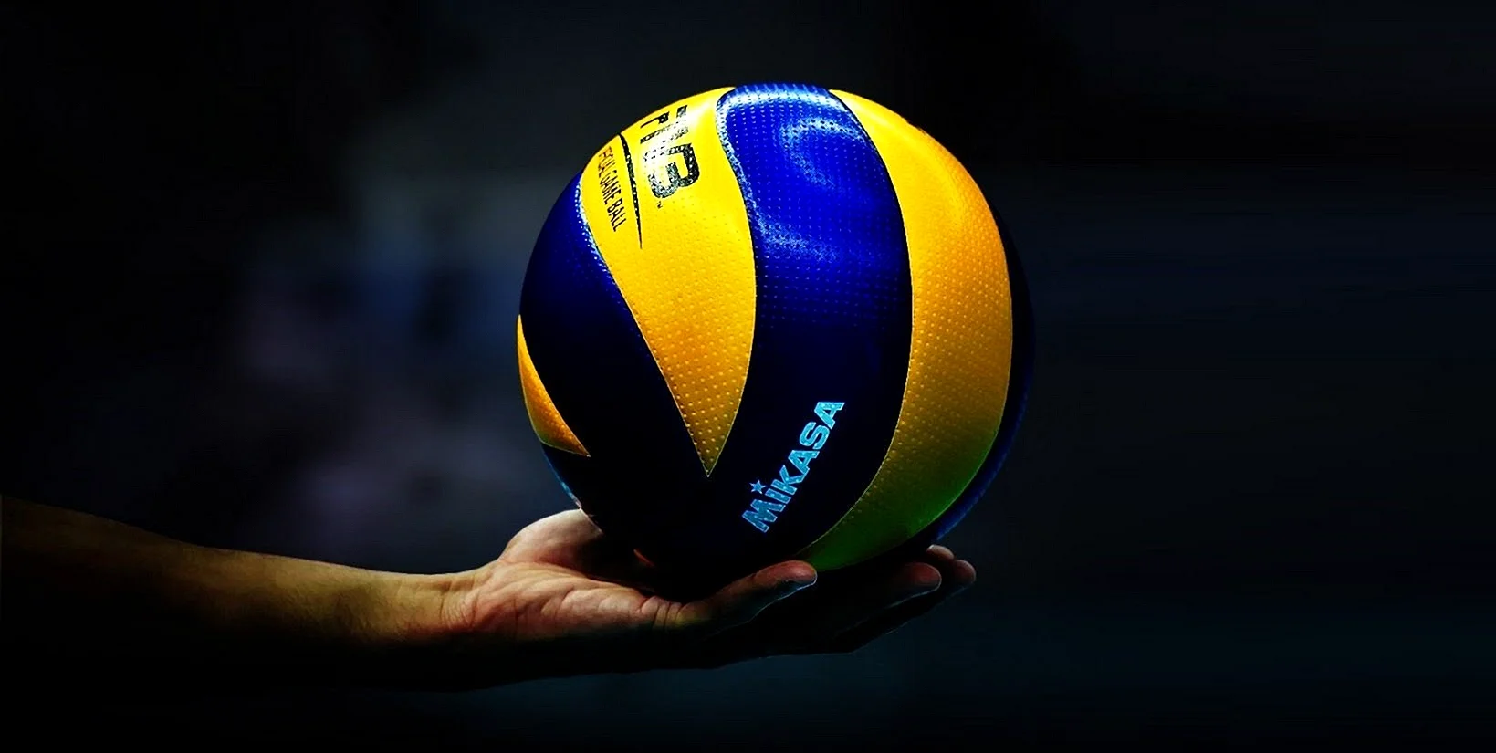 Volleyball Wallpaper
