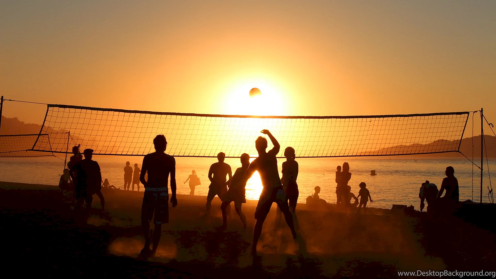Volleyball Wallpaper