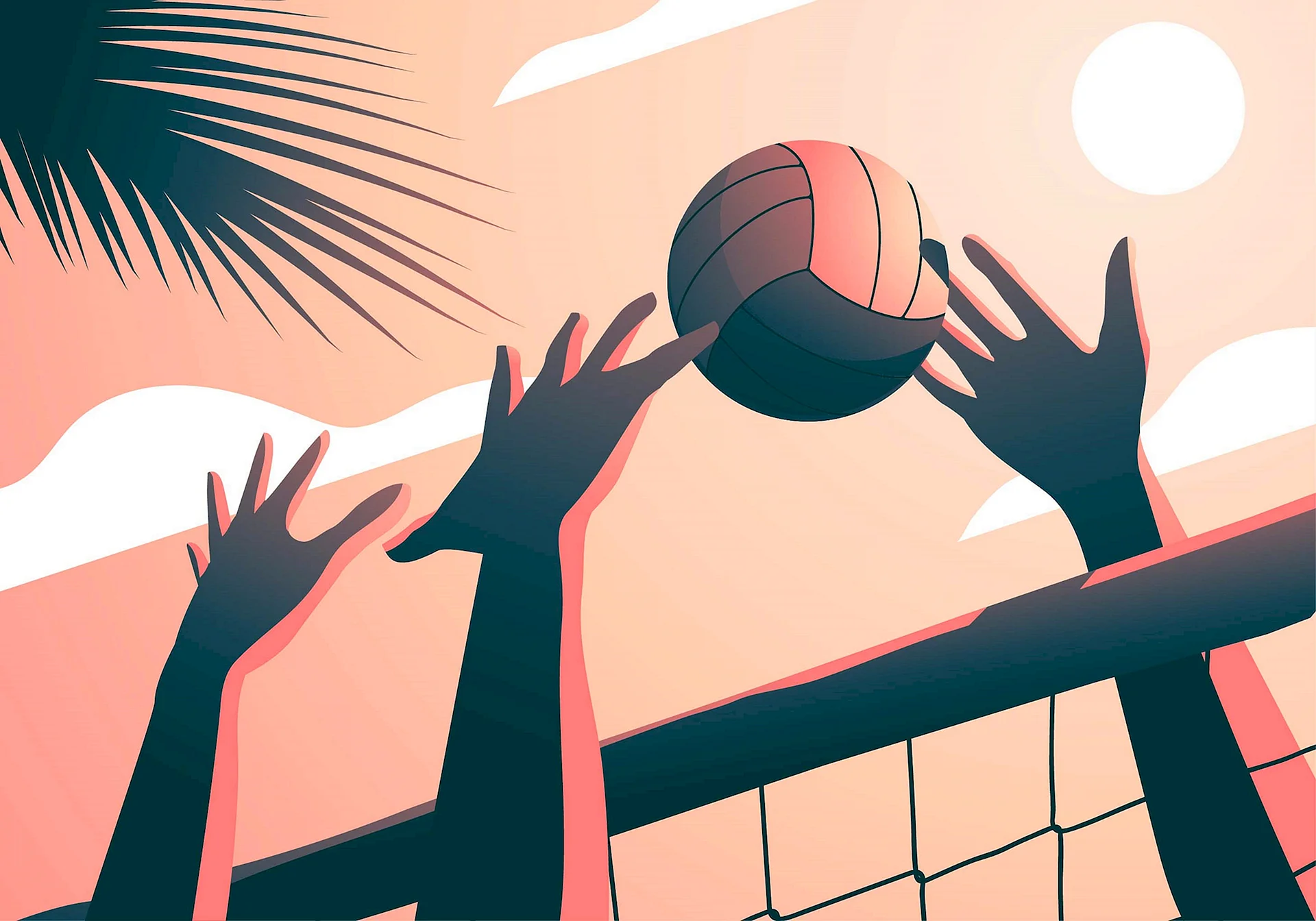 Volleyball Wallpaper