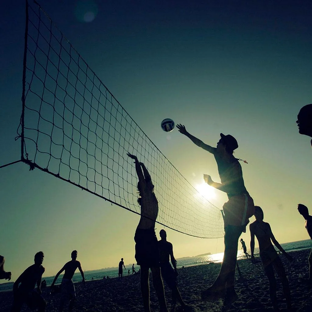Volleyball Wallpaper