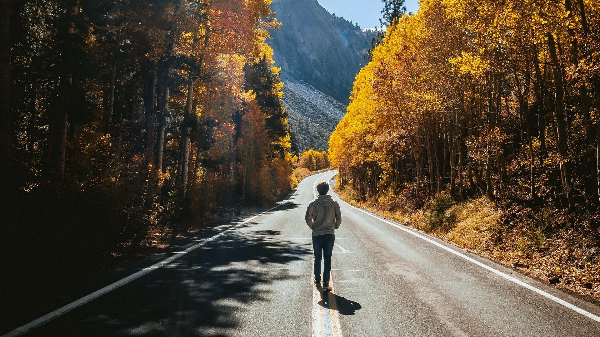 Walking On Road Wallpaper