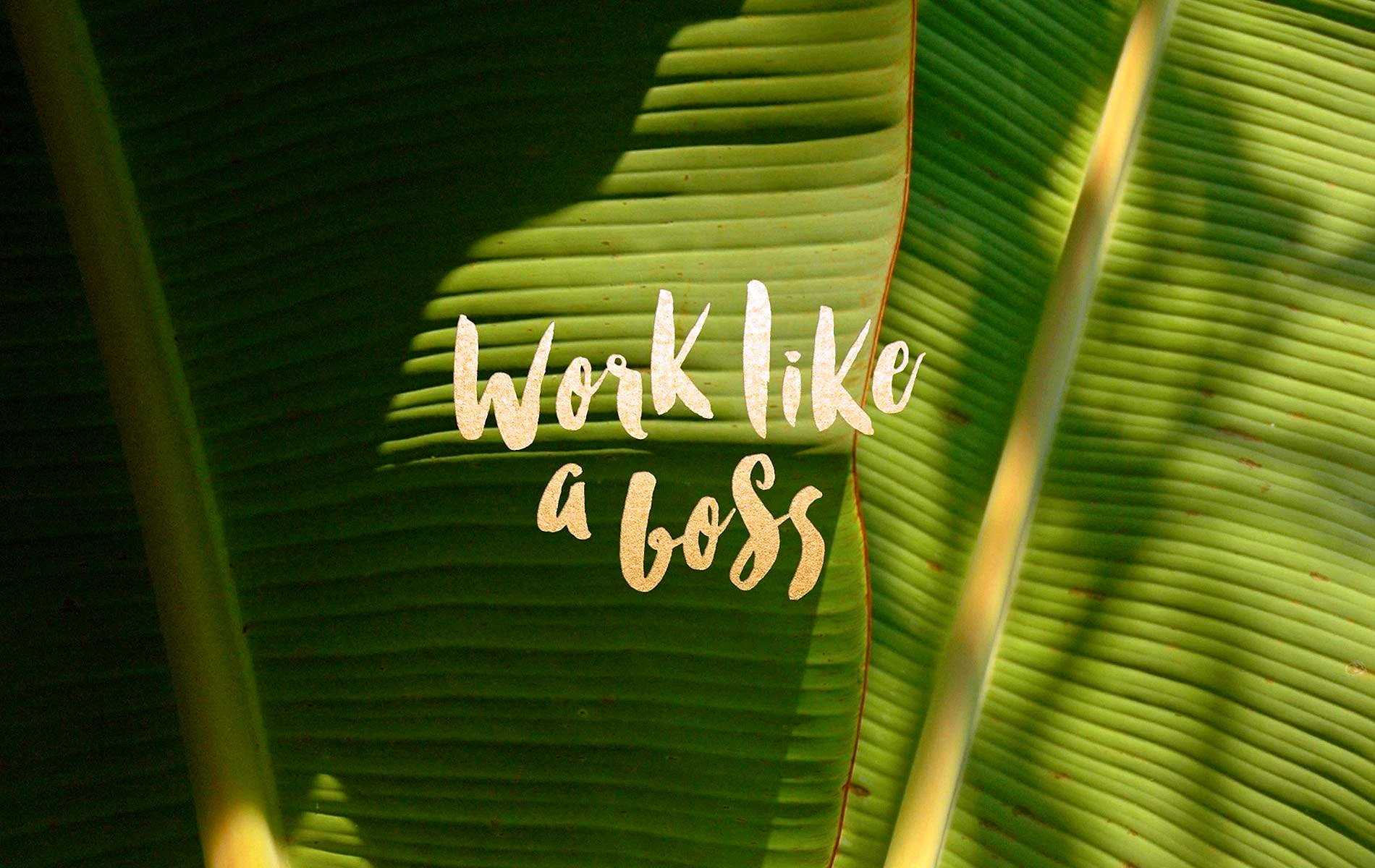 Wallpaper For Laptop Motivation Wallpaper