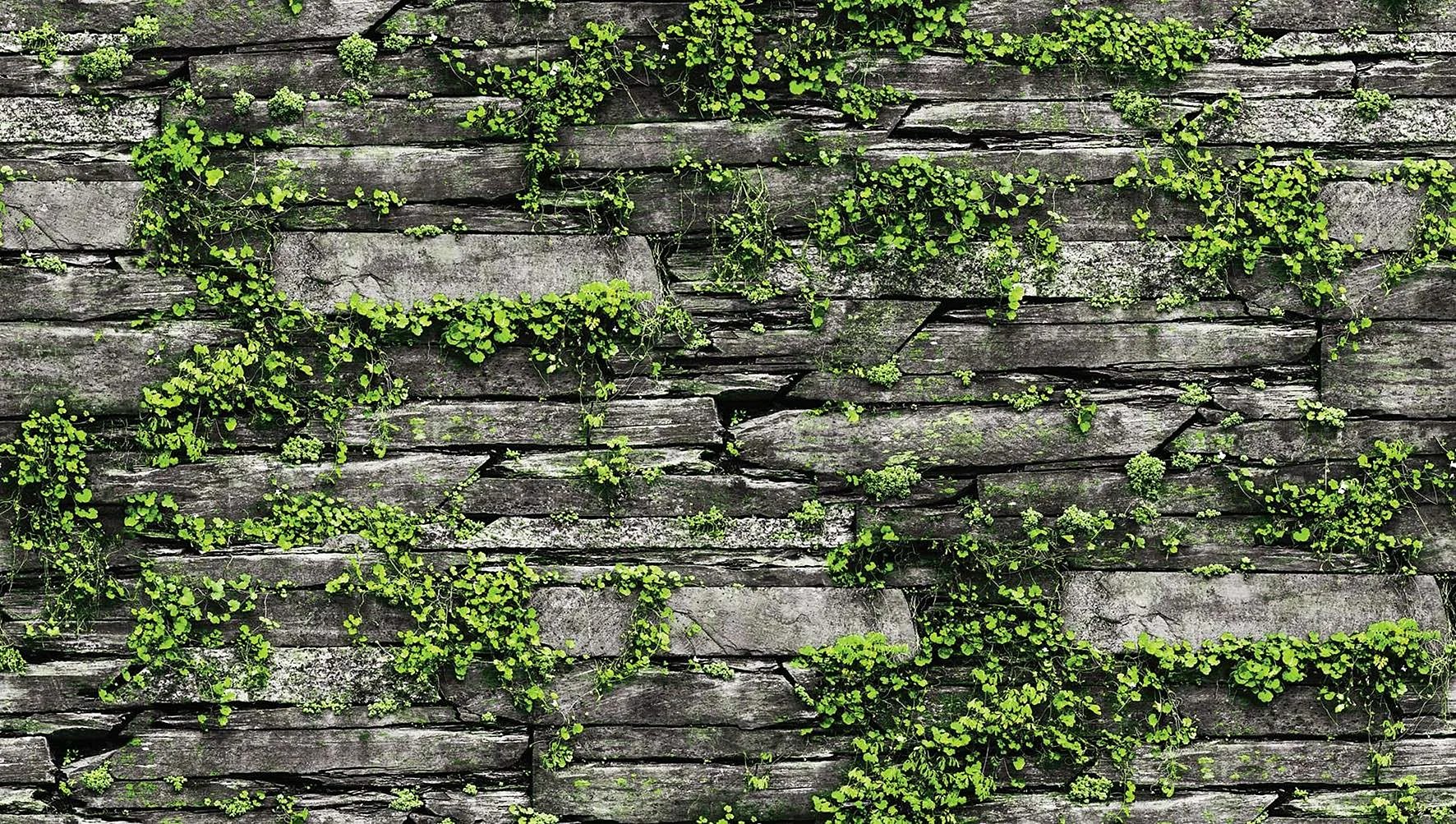 Greenery Wall Wallpaper