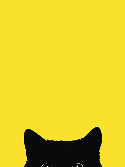 Kucing iPhone Wallpaper For iPhone