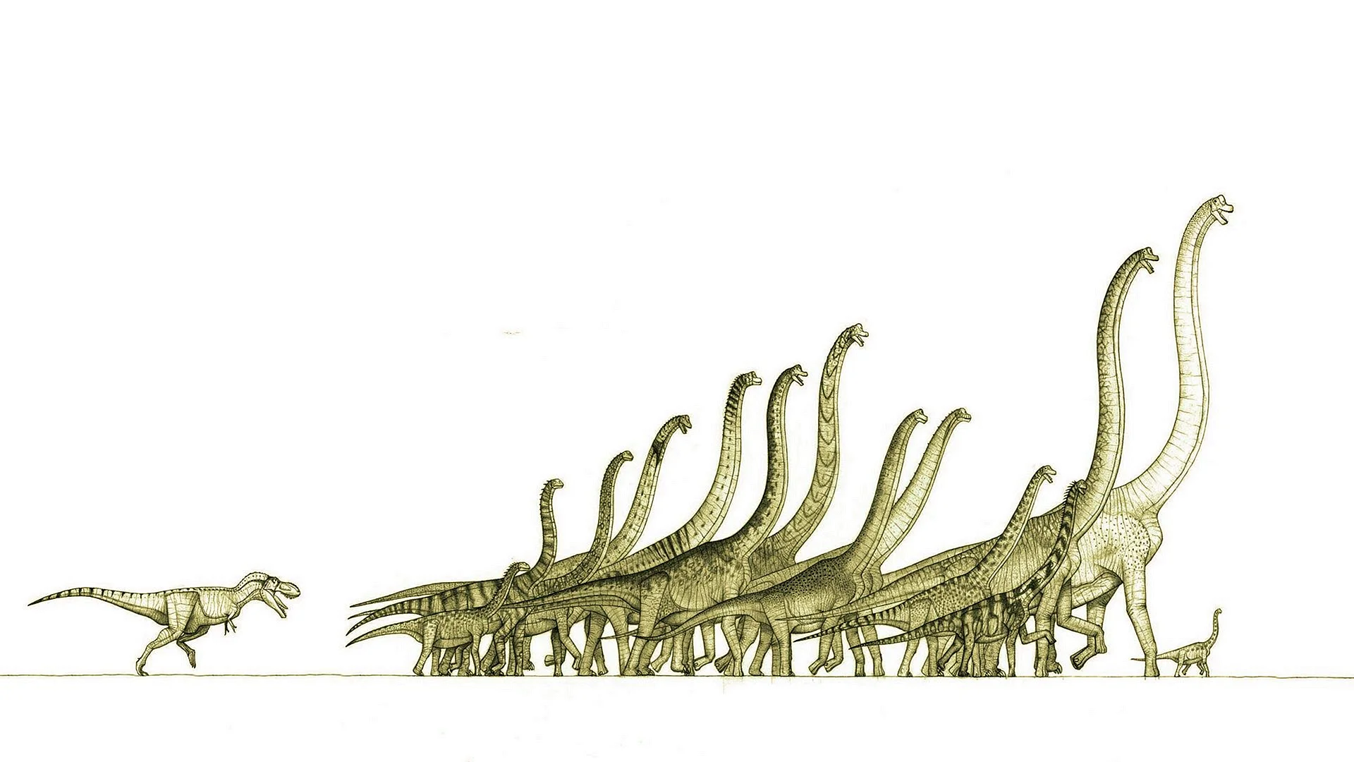 Pattern Dinosaur Wallpaper