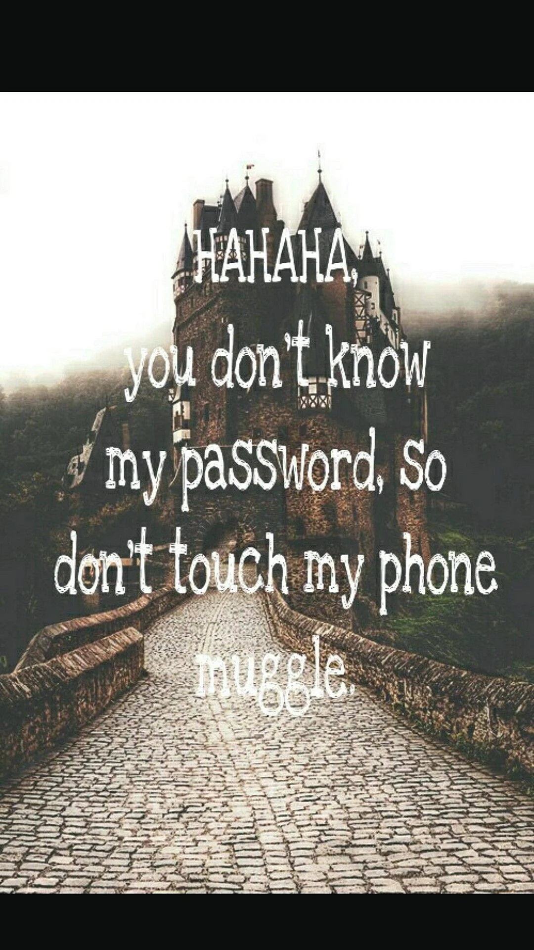 Slytherin Dont Touch My Phone Muggle Wallpaper
