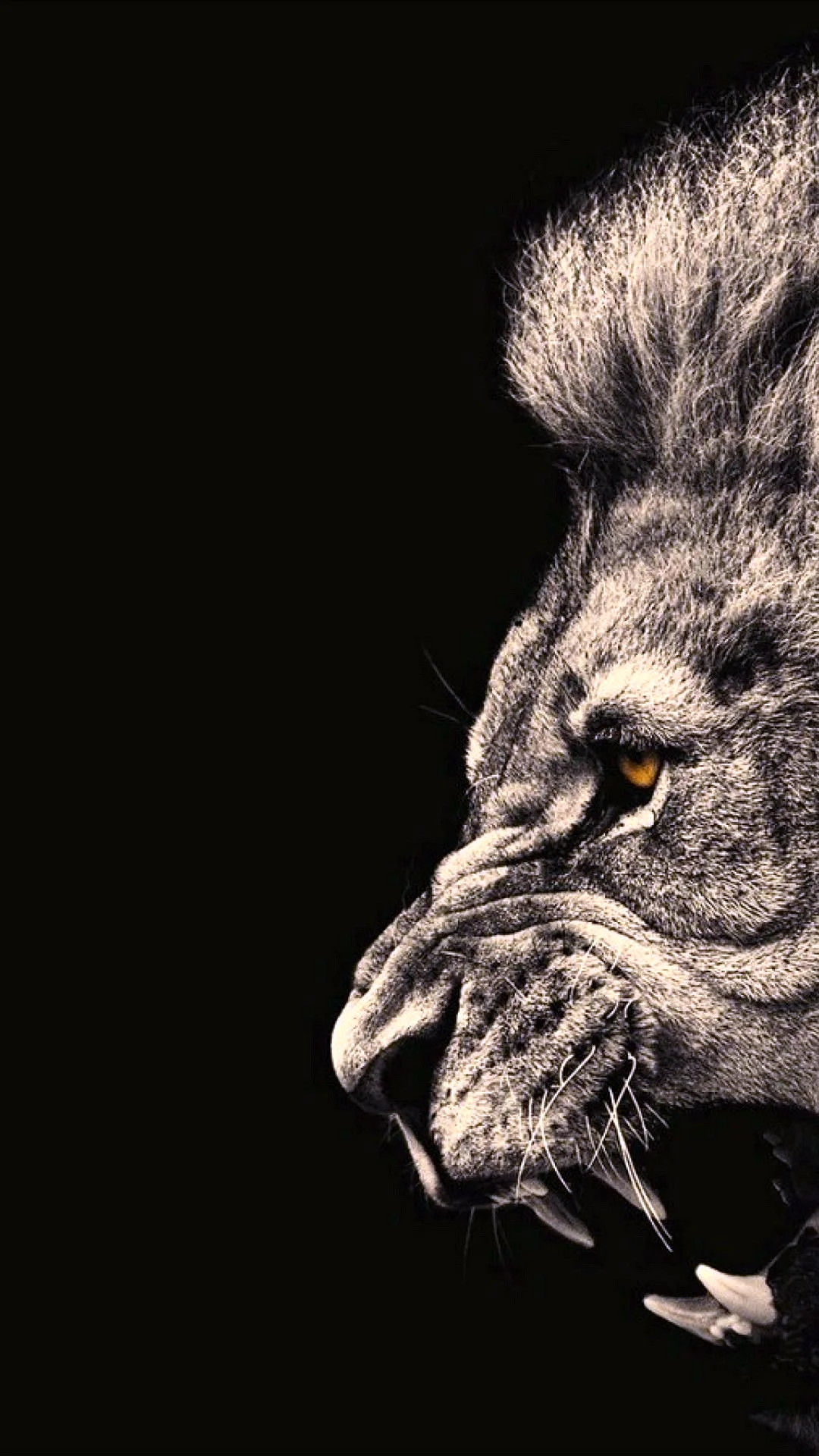 iPhone Lion Wallpaper For iPhone