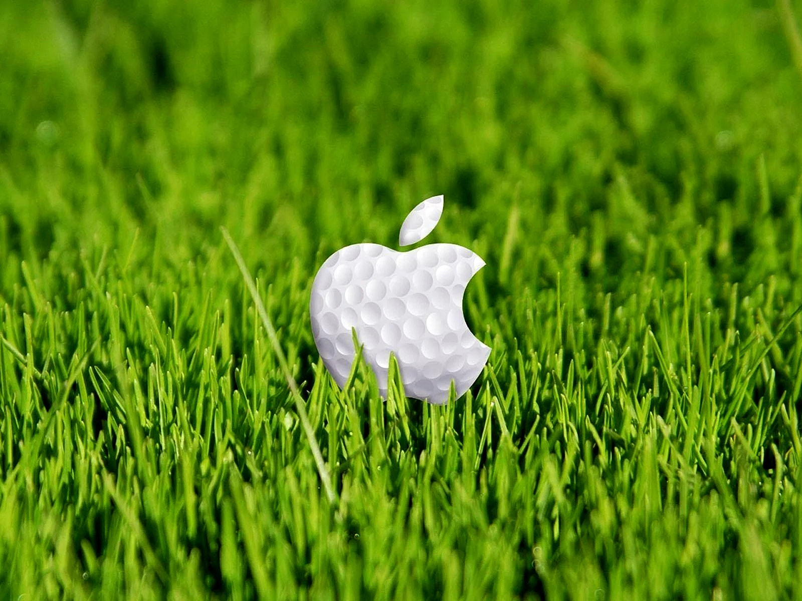 Apple Iphone Green Wallpaper