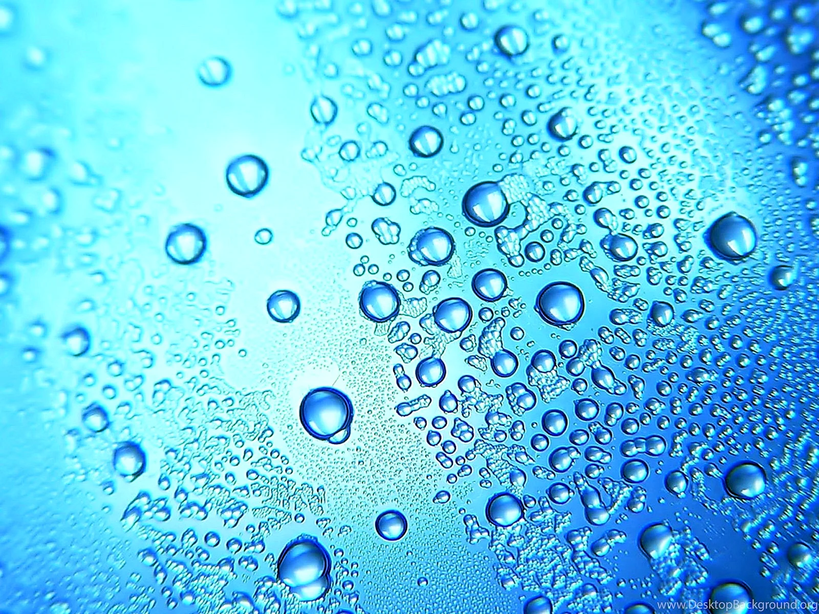 Water Bubbles Background Wallpaper