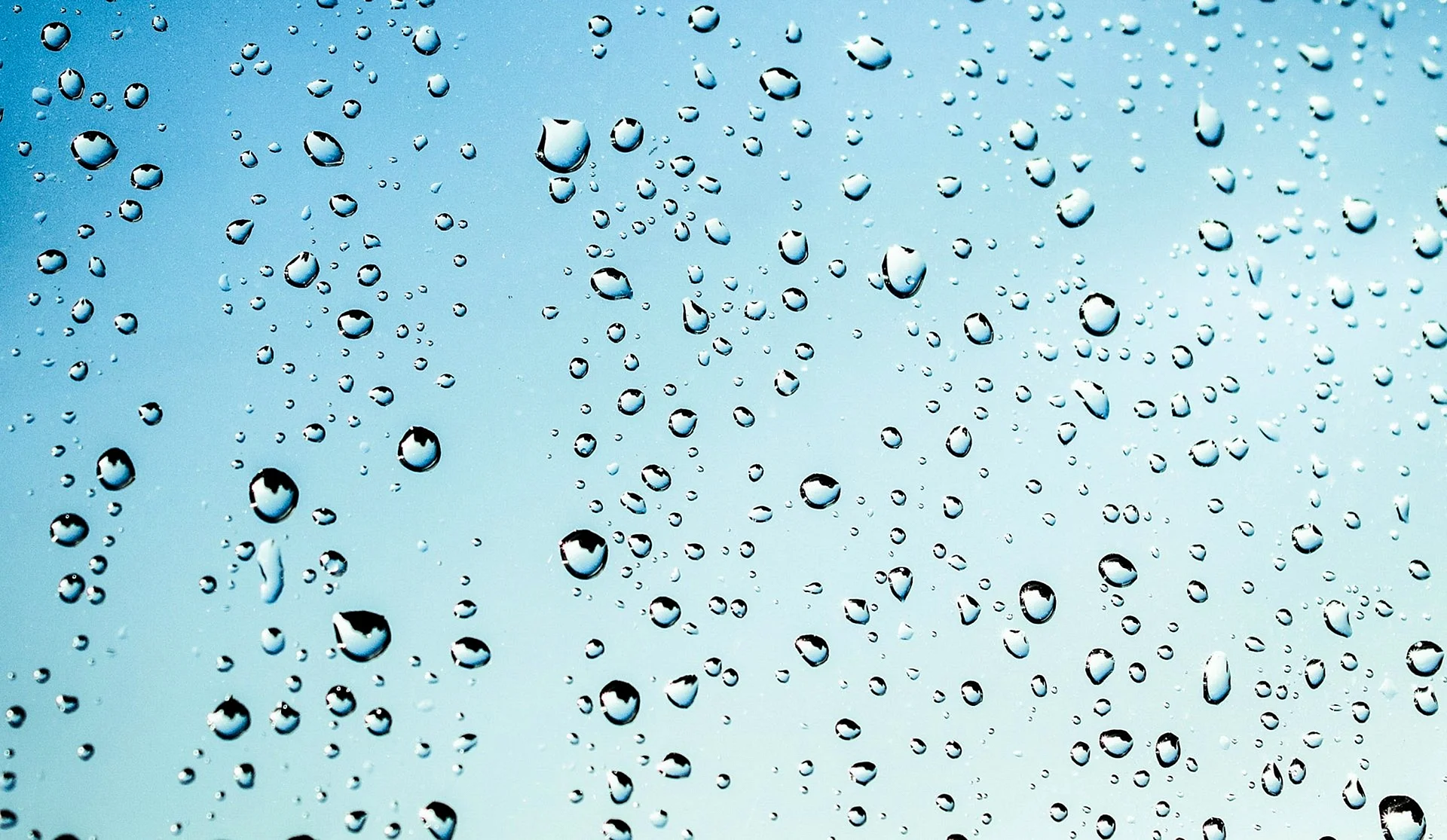 Water Drops Background Wallpaper