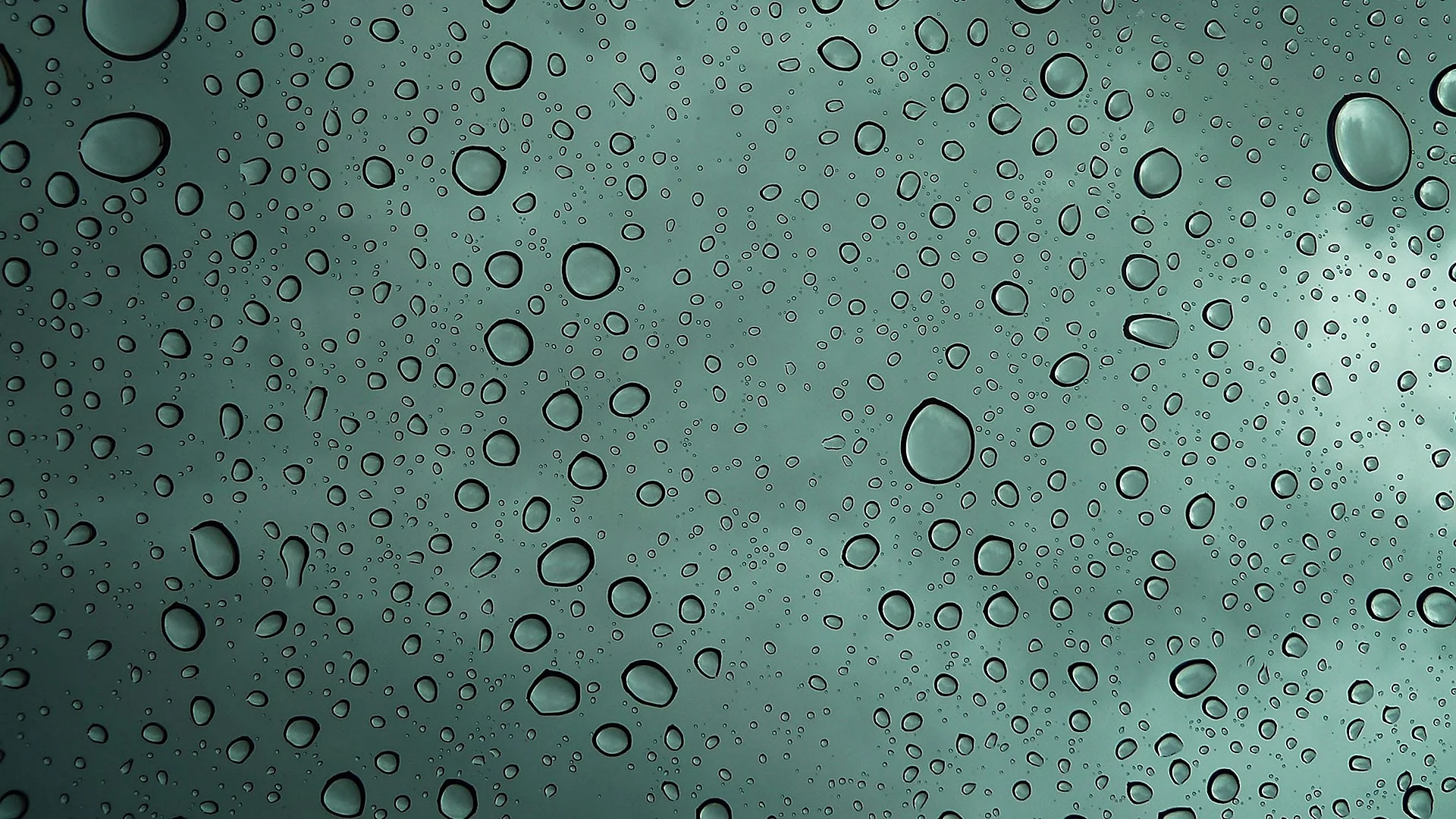 Water Drops Glass Wallpaper